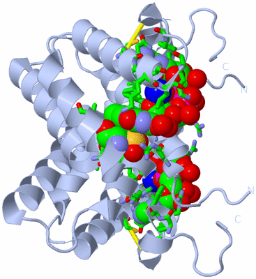 Image Biol. Unit 1 - sites