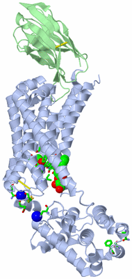 Image Asym./Biol. Unit - sites