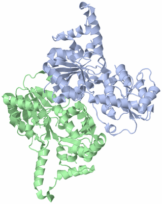 Image Asym./Biol. Unit