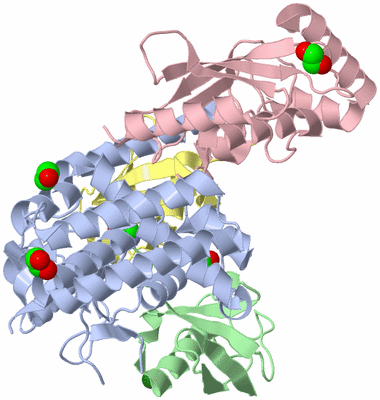 Image Asym./Biol. Unit