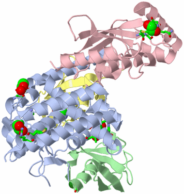 Image Asym./Biol. Unit - sites