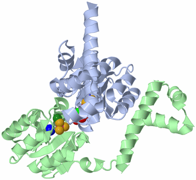 Image Asym./Biol. Unit