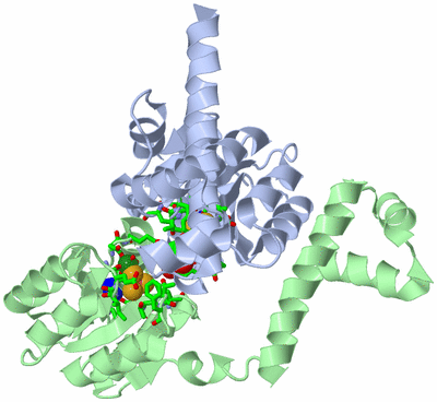 Image Asym./Biol. Unit - sites