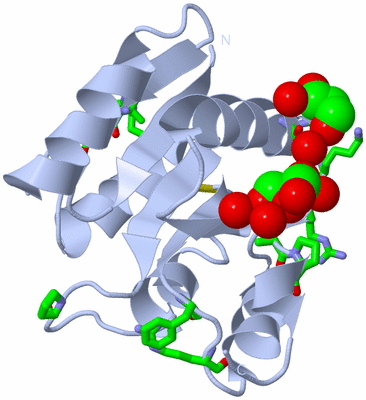 Image Biol. Unit 1 - sites