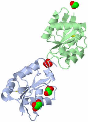 Image Biological Unit 3