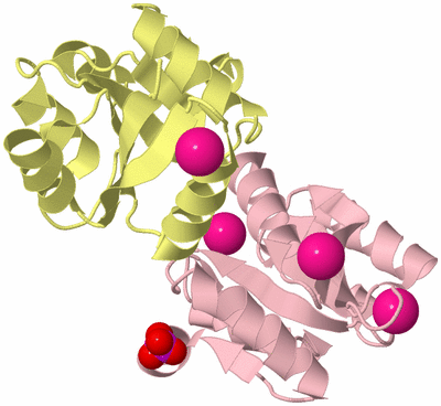 Image Biological Unit 2