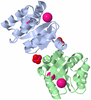 Image Biological Unit 3