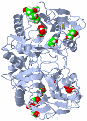 Image Biological Unit 1