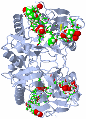 Image Biol. Unit 1 - sites