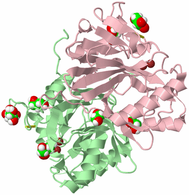 Image Biological Unit 2