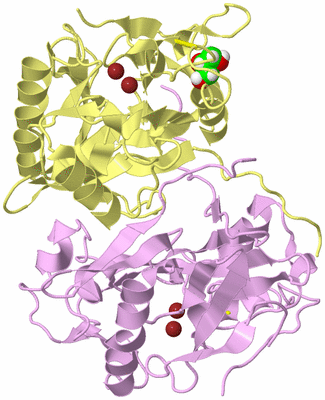 Image Biological Unit 3