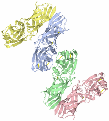 Image Asymmetric Unit