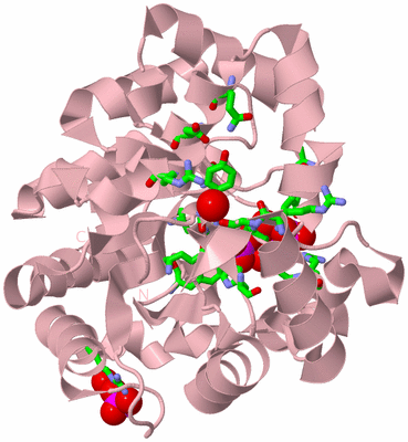 Image Biol. Unit 1 - sites