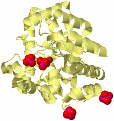 Image Biological Unit 2