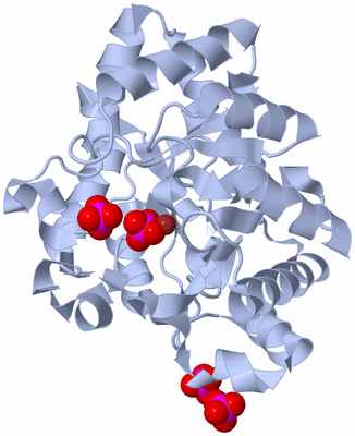 Image Biological Unit 3