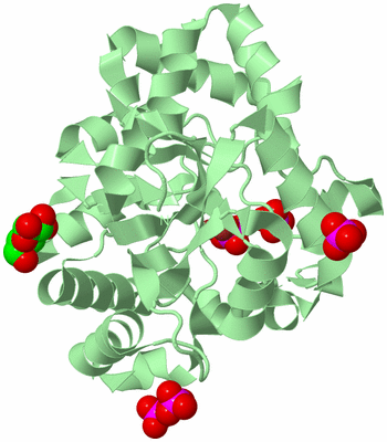 Image Biological Unit 4