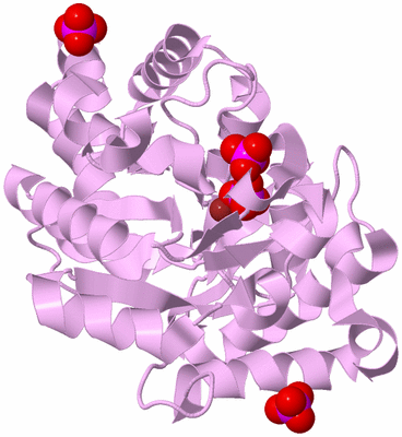 Image Biological Unit 5