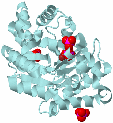 Image Biological Unit 6