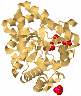 Image Biological Unit 7