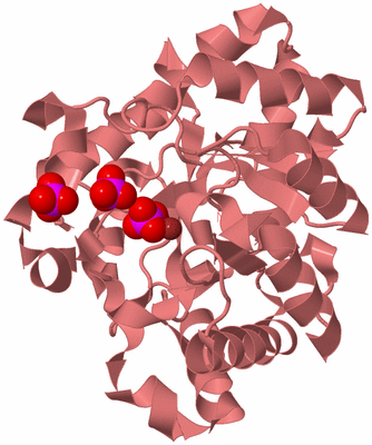 Image Biological Unit 8