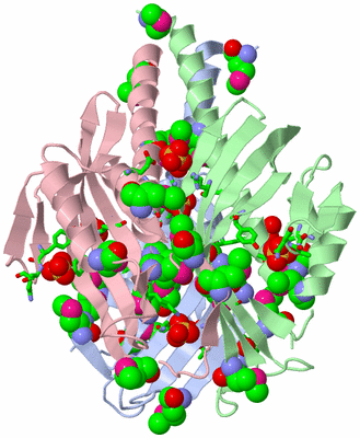 Image Asym./Biol. Unit - sites