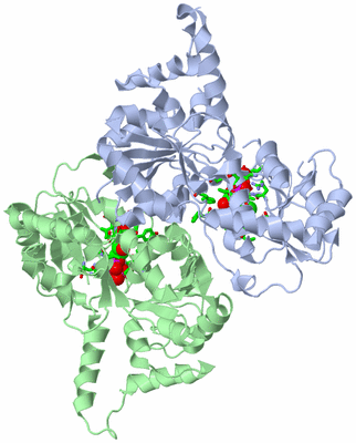 Image Asym./Biol. Unit - sites