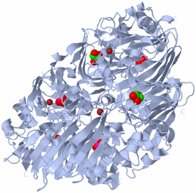 Image Biological Unit 1