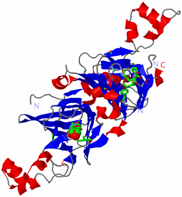 Image Asym. Unit - sites