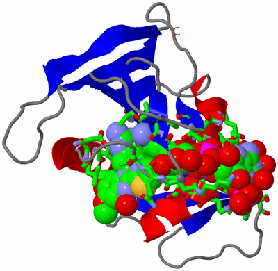 Image Asym./Biol. Unit - sites