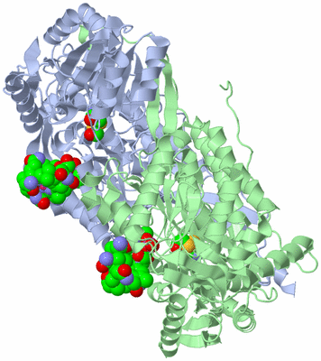 Image Biological Unit 1