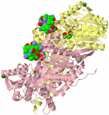 Image Biological Unit 2