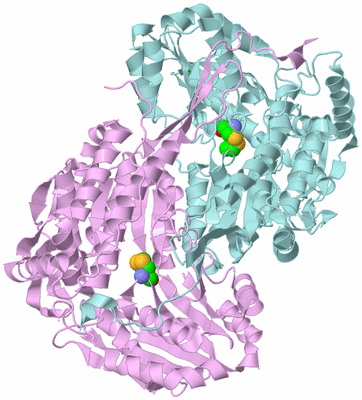 Image Biological Unit 3