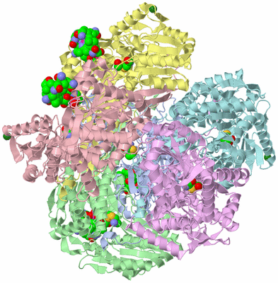 Image Biological Unit 4