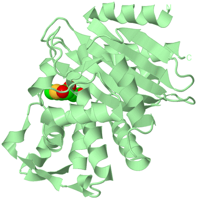 Image Biological Unit 2