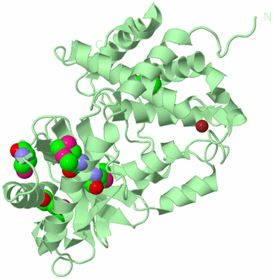 Image Biological Unit 2