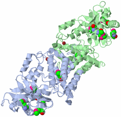 Image Biological Unit 3