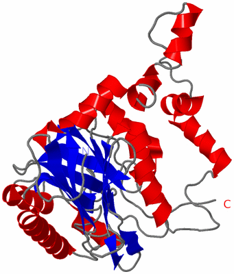 Image Asymmetric Unit