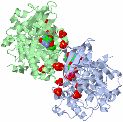 Image Asym./Biol. Unit