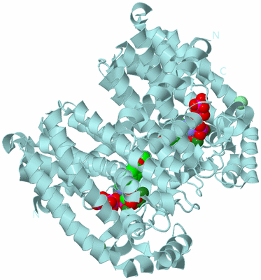 Image Biological Unit 1