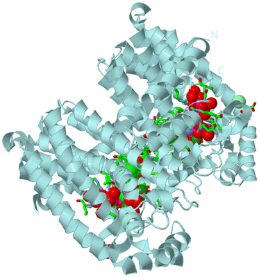 Image Biol. Unit 1 - sites