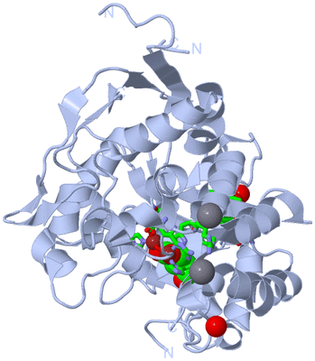 Image Biol. Unit 1 - sites