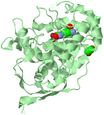 Image Biological Unit 2