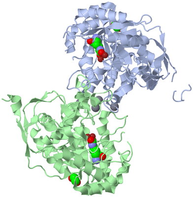 Image Biological Unit 3