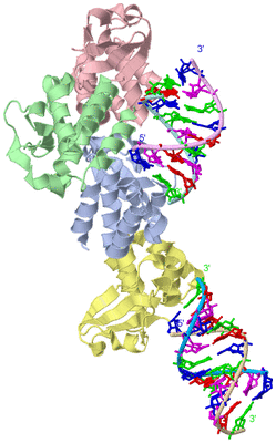 Image Asym./Biol. Unit