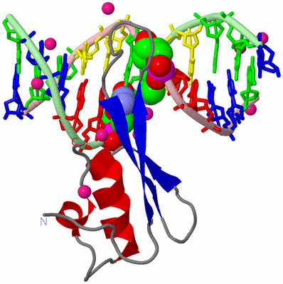 Image Asym./Biol. Unit