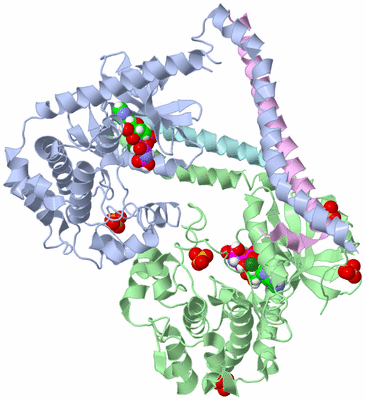 Image Biological Unit 5