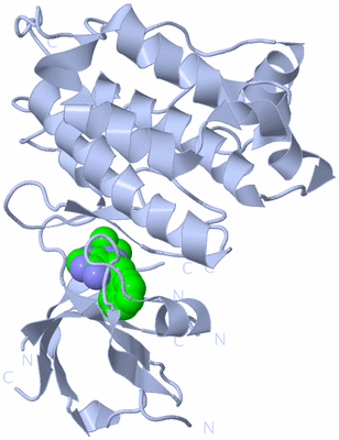 Image Biological Unit 1