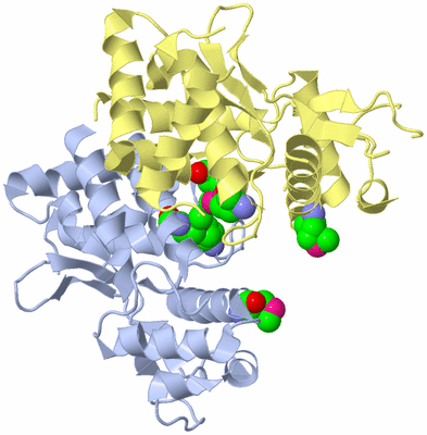 Image Biological Unit 1