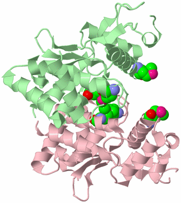 Image Biological Unit 2