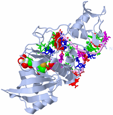 Image Biological Unit 1